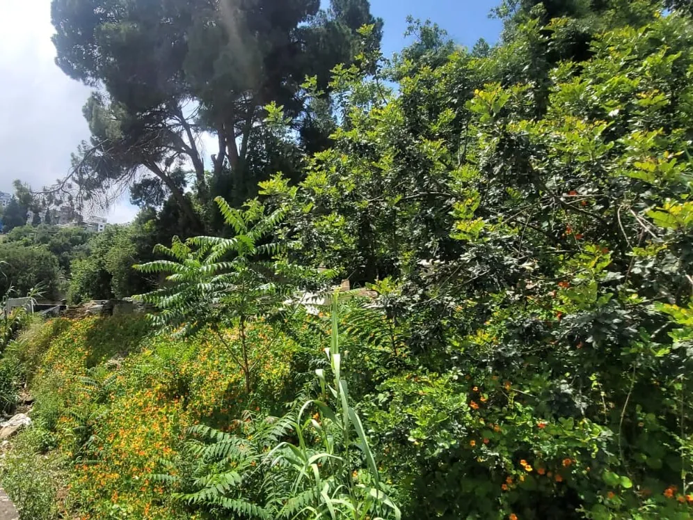 2,630 Sqm Land For Rent in Sarba — الصورة 2