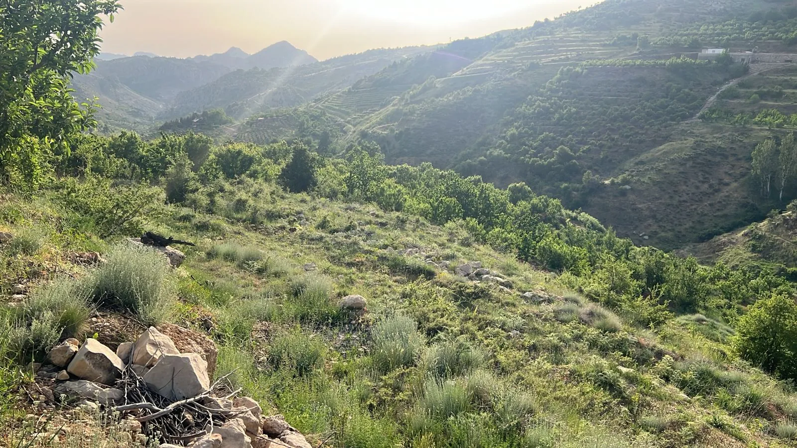 Land For Sale in the Beautiful area of Tannourine, Harissa
