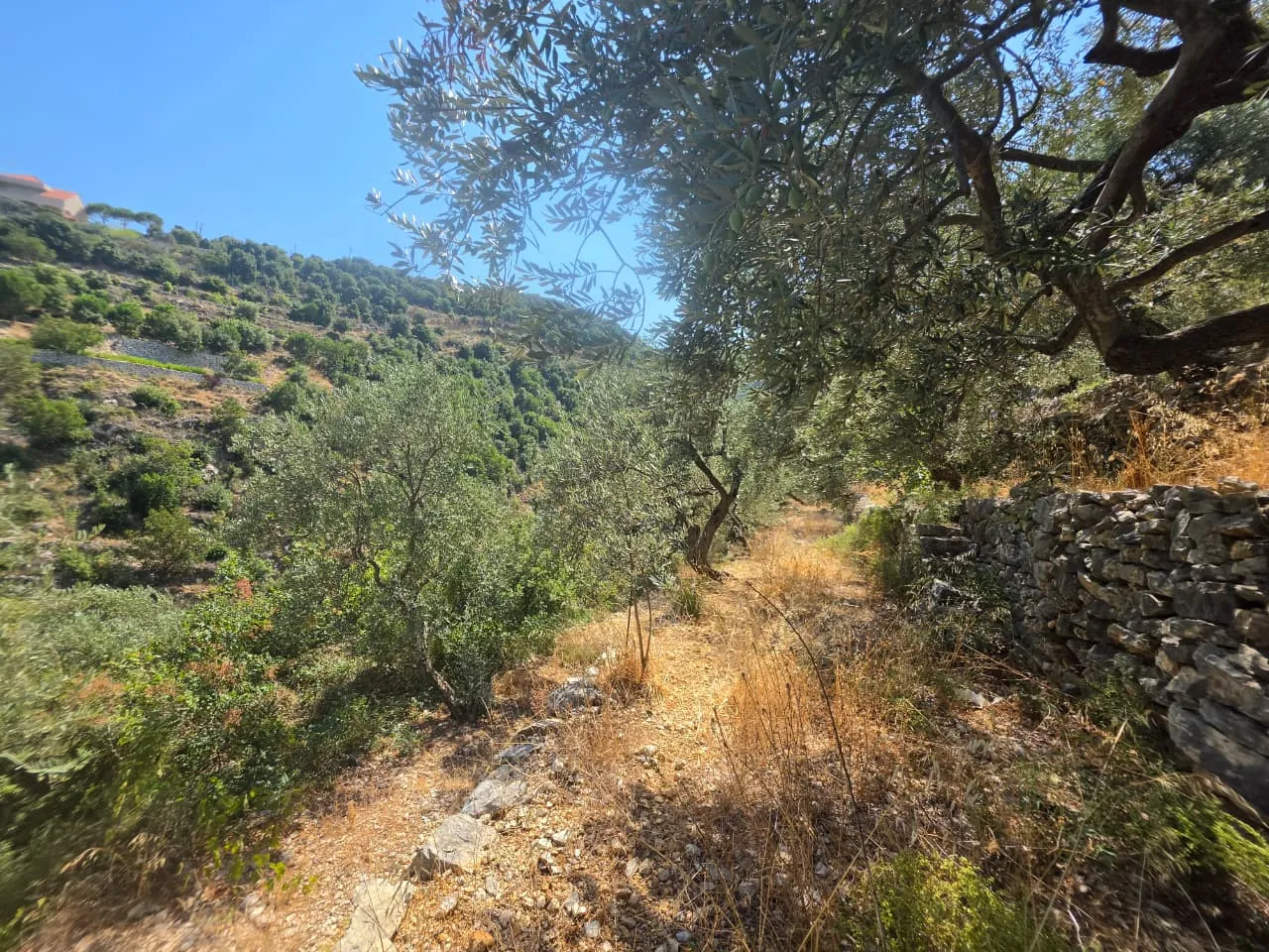 1,500 SQM With Mountain View Land For Sale in Batroun, Chabtine — الصورة 2