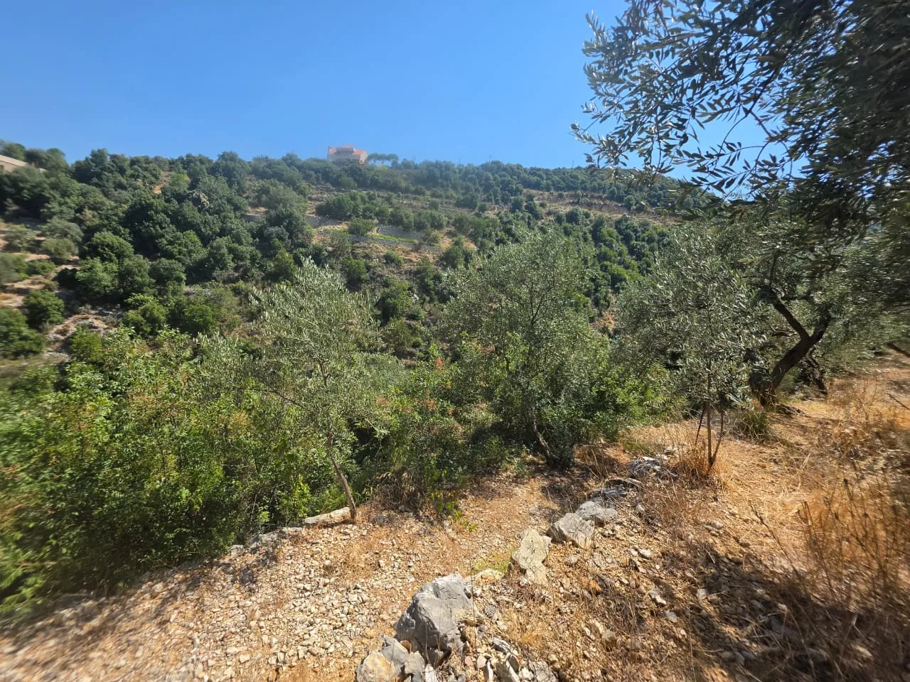 1,500 SQM With Mountain View Land For Sale in Batroun, Chabtine — الصورة 3