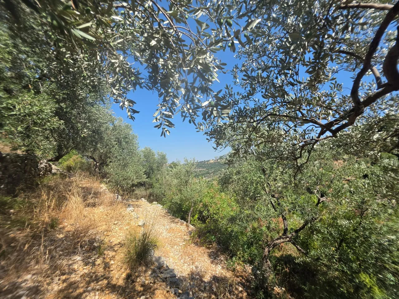 1,500 SQM With Mountain View Land For Sale in Batroun, Chabtine — الصورة 5