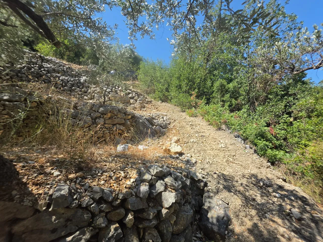 1,500 SQM With Mountain View Land For Sale in Batroun, Chabtine — الصورة 6