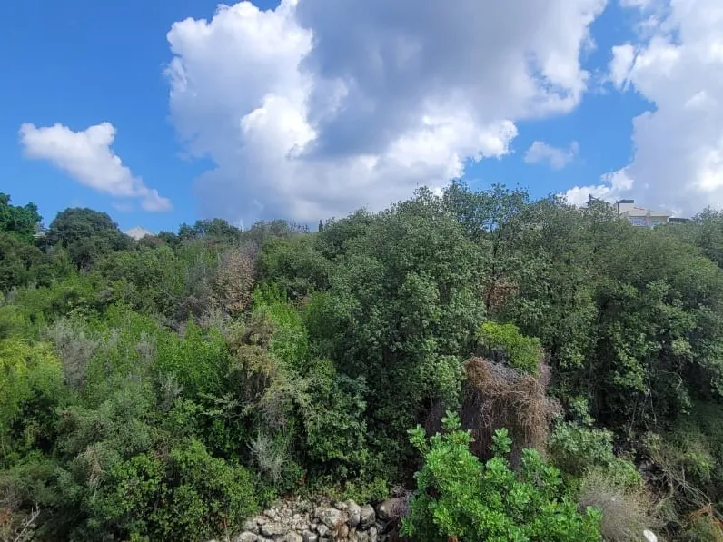 3,333 SQM Indusrtial Land For Sale in Amchit