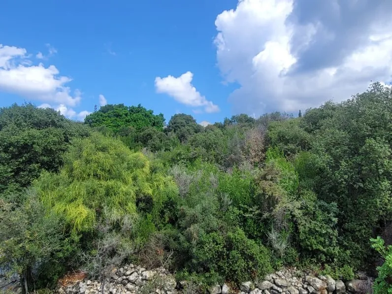 3,333 SQM Indusrtial Land For Sale in Amchit — الصورة 2