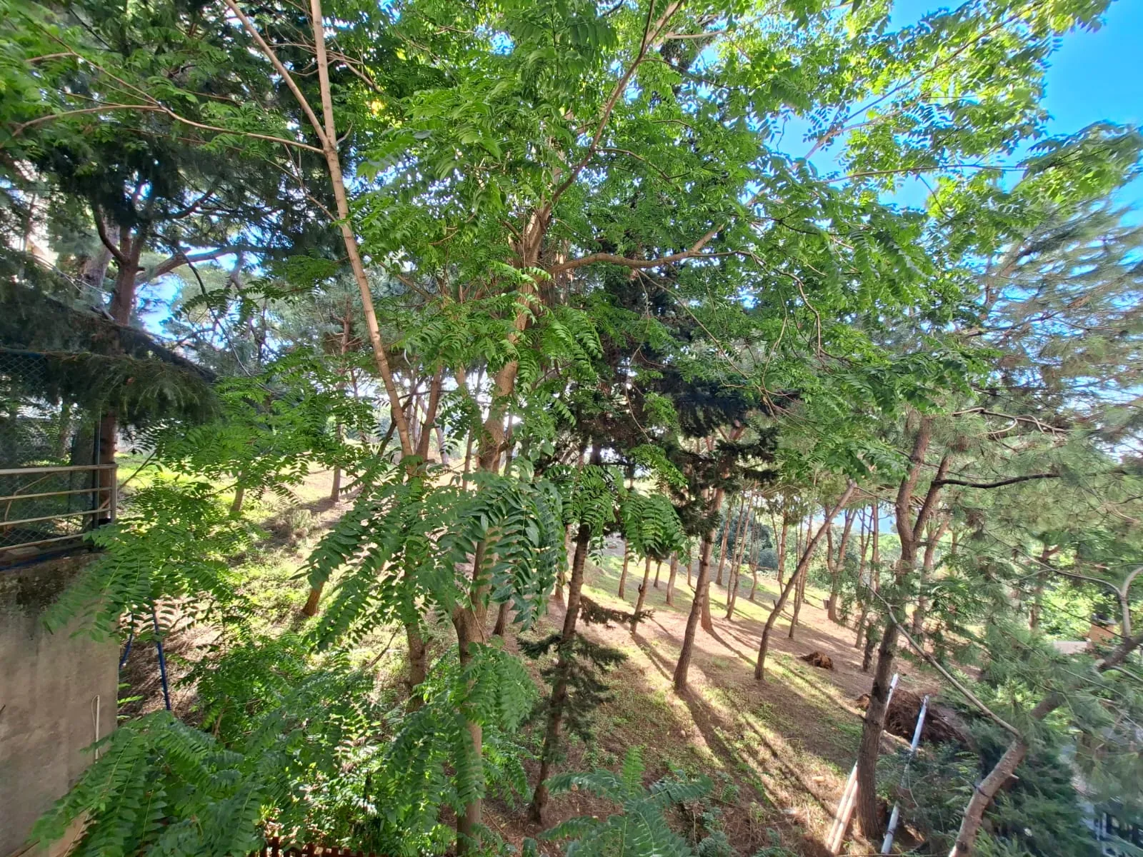 3-Bedroom Apartment For Sale in Gated Community in Broumana — photo 3