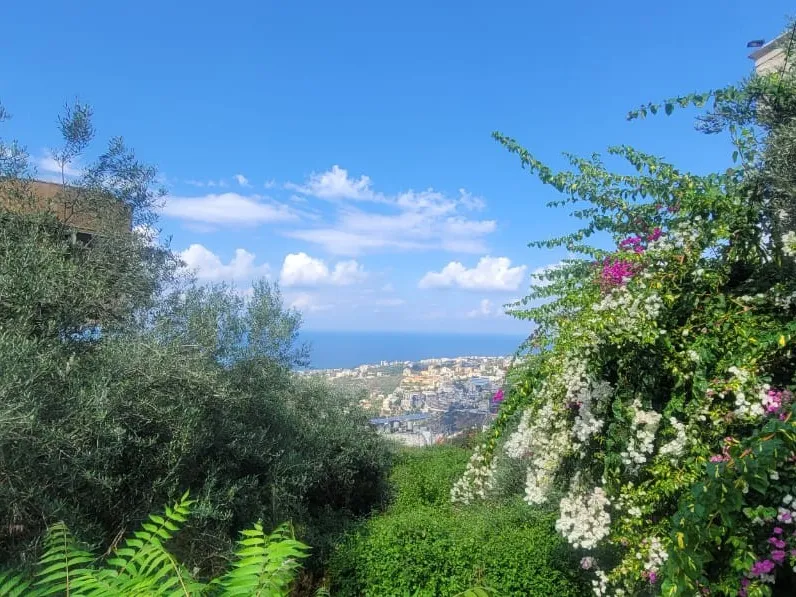 Unique Land For Sale in kfarhbeib — الصورة 2
