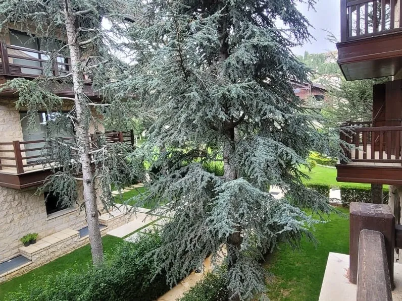 Furnished Chalet For Rent in Mazaar, Kfarzebian — الصورة 8