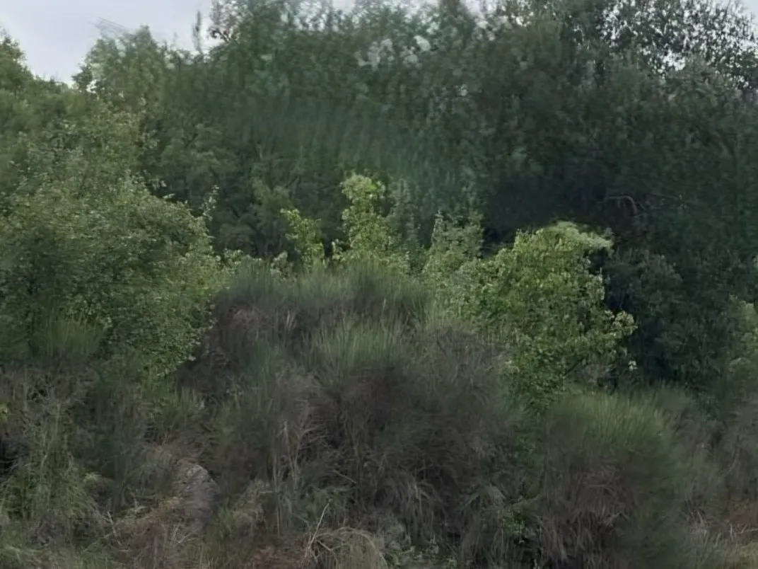 2,200 SQM Land in A Prime Location For Sale in Bikfaya — الصورة 3