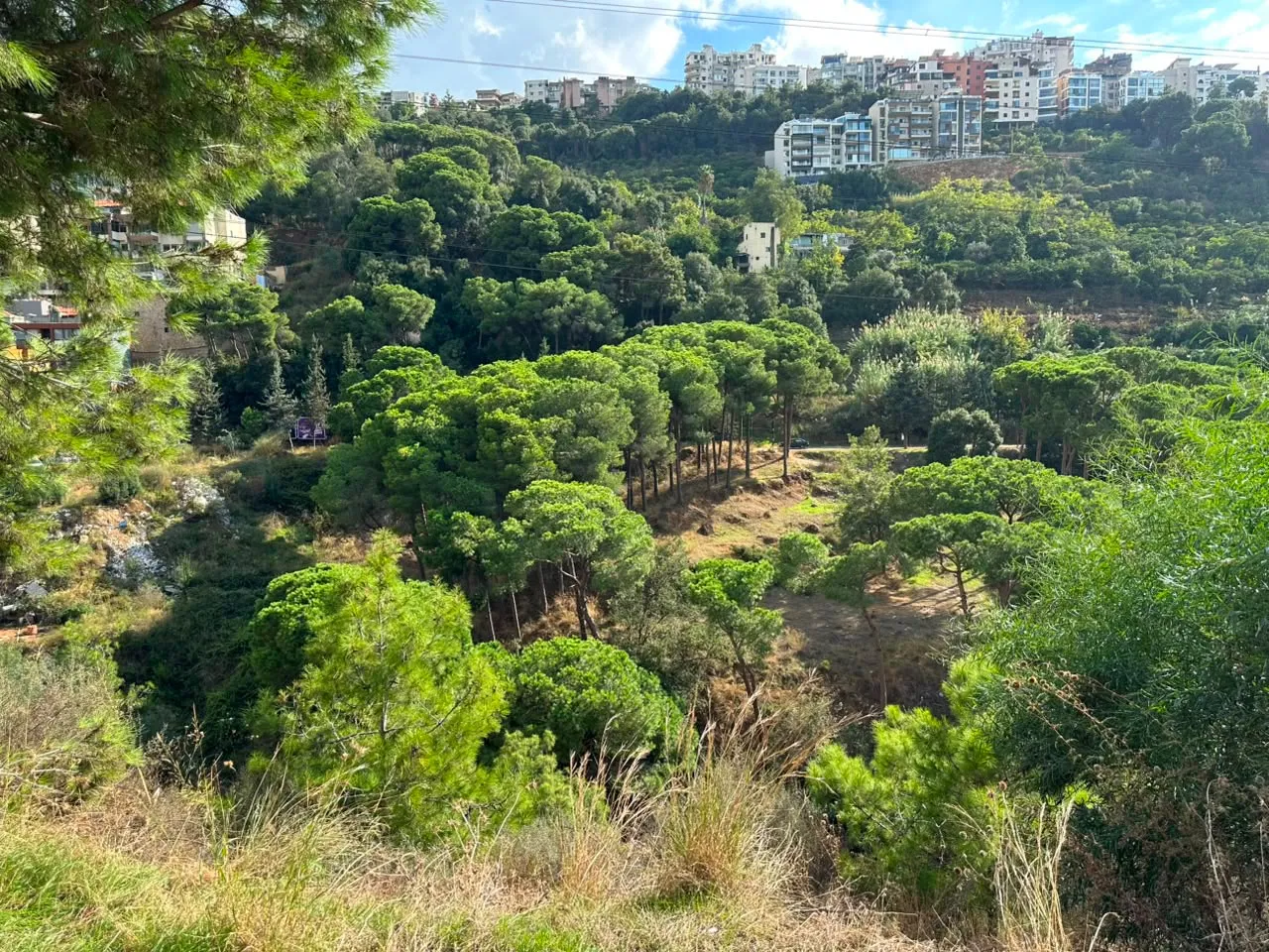 1,699 SQM Land For Sale in a Prime Location In Mansourieh — photo 2