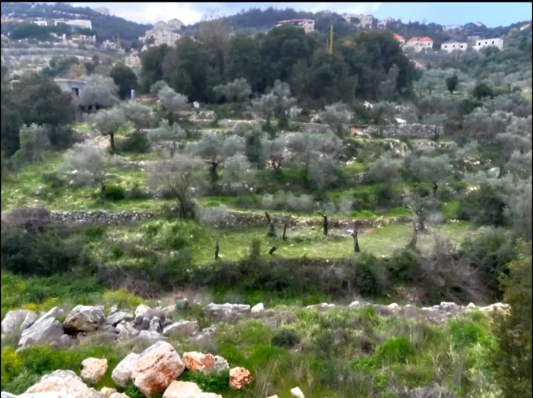 988 SQM Land For Sale In Batroun, Chabtine