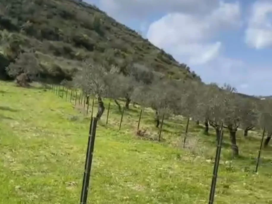 1,465 SQM Land For Sale In Kfifan — الصورة 2