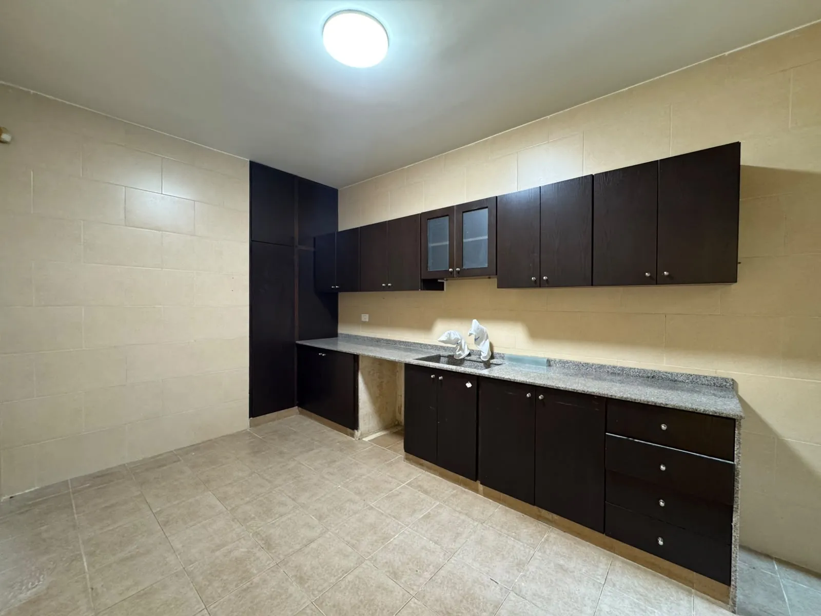 Unfurnished Apartment With Garden & Terrace For Rent in Mansourieh — الصورة 5