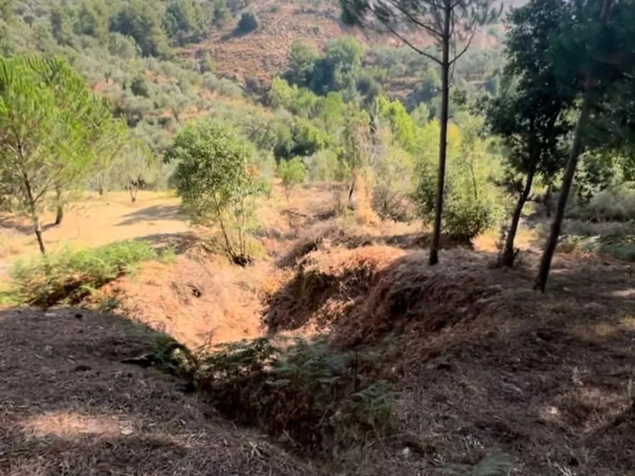 4,550 SQM Land For Sale in Aghmeed, Aley — photo 2