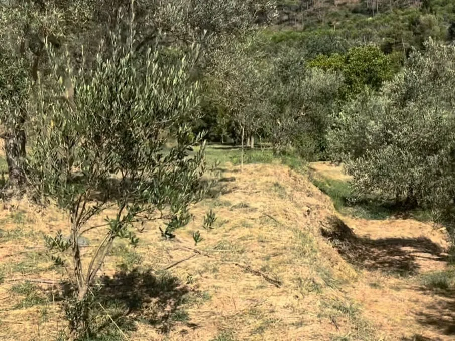 4,550 SQM Land For Sale in Aghmeed, Aley — photo 3