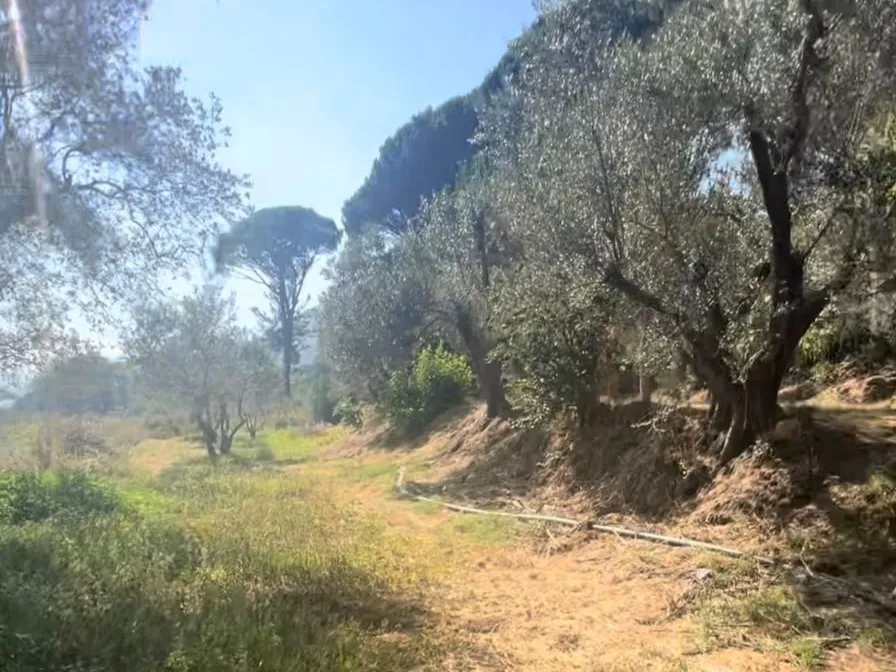 4,550 SQM Land For Sale in Aghmeed, Aley — photo 4