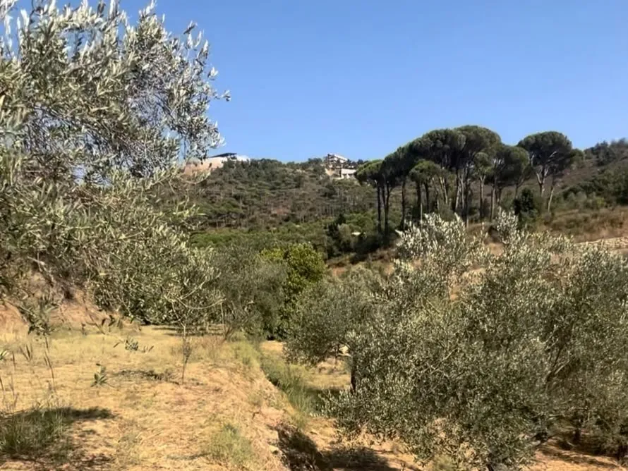 4,550 SQM Land For Sale in Aghmeed, Aley — photo 6