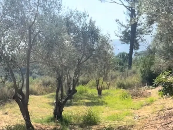 4,550 SQM Land For Sale in Aghmeed, Aley — photo 7