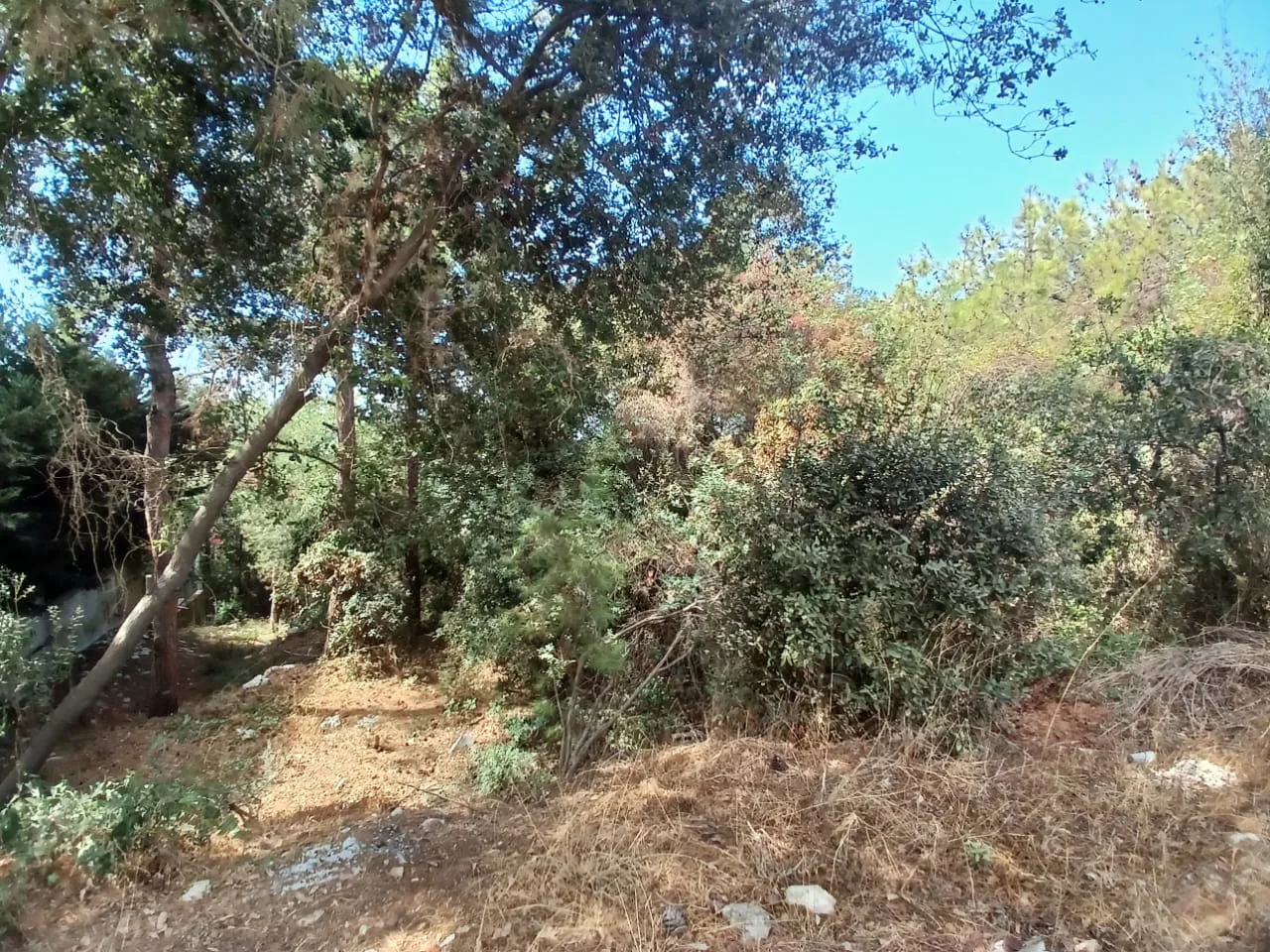 Land for Sale in Rabweh, Metn