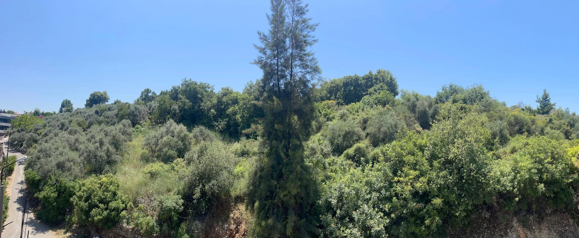 Land for Sale in Chamat , Lebanon