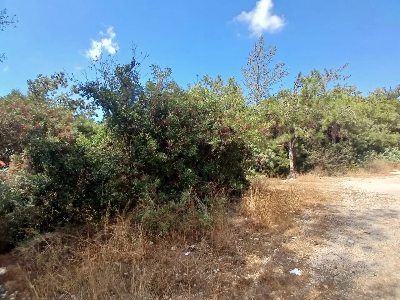 Land for Sale in Rabweh, Metn — الصورة 2