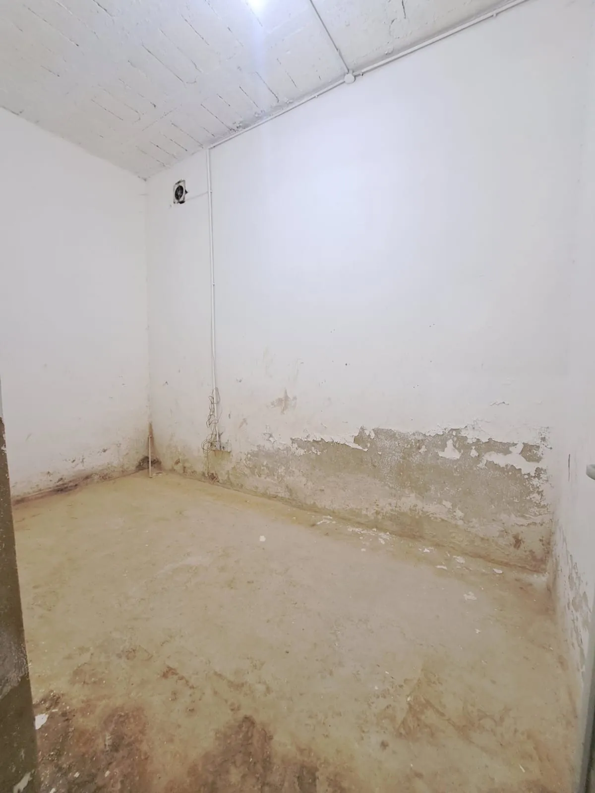 500 SQM Warehouse for Sale – Zalka — photo 2