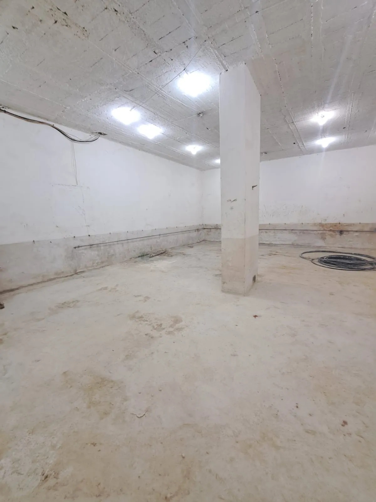 500 SQM Warehouse for Sale – Zalka — photo 3