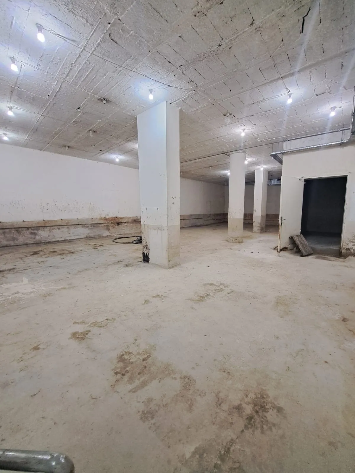 500 SQM Warehouse for Sale – Zalka — photo 4