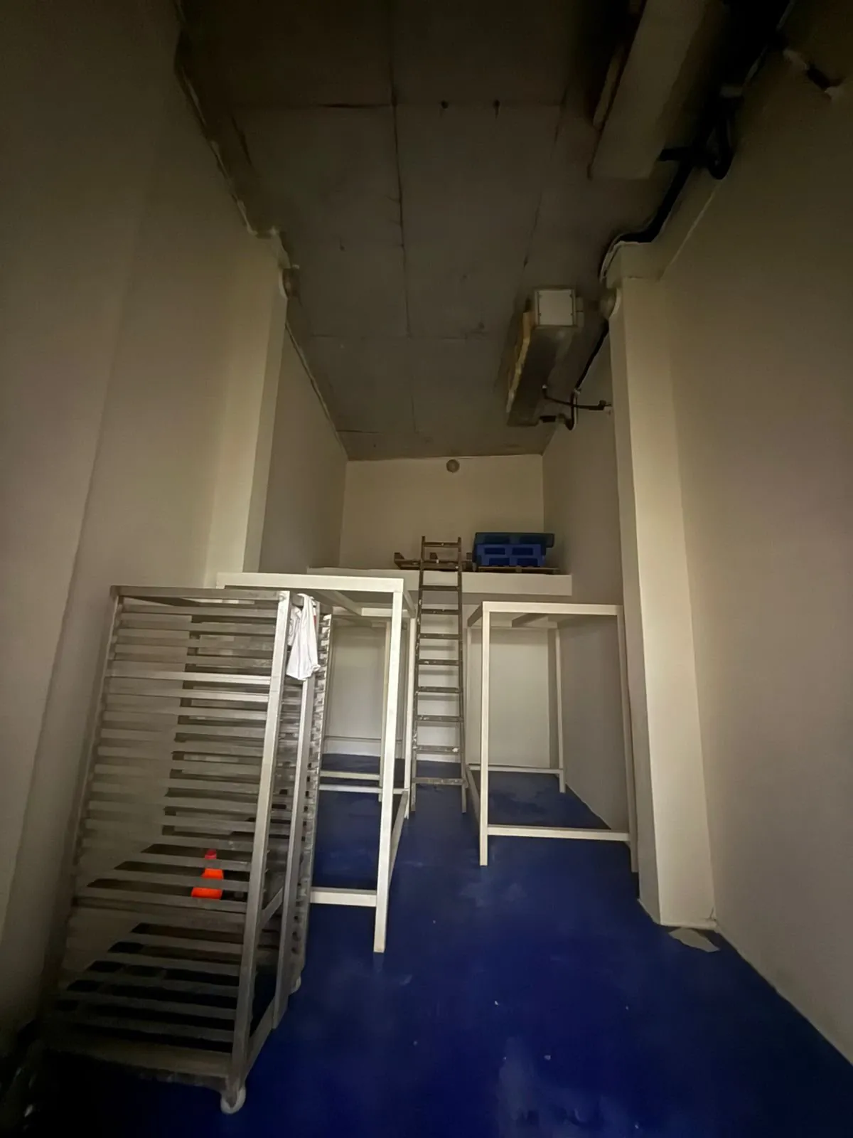 1100 SQM Warehouse for Sale – Horsh Tabet — photo 4