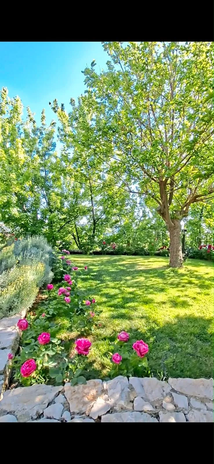 Villa & Lands for Sale – Baskinta — الصورة 3