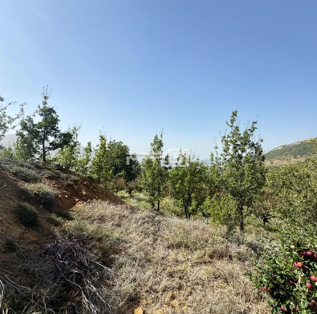 Land For Sale in Baskinta