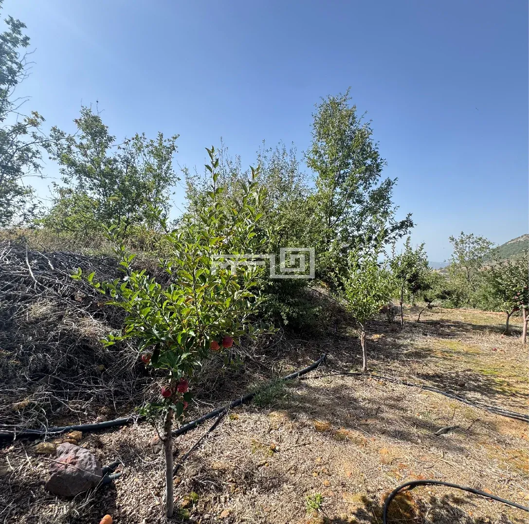 Land For Sale in Baskinta — photo 2