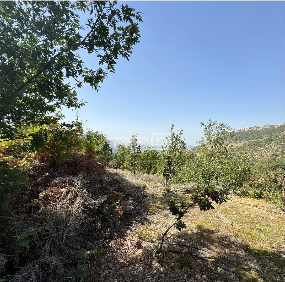Land For Sale in Baskinta — photo 3