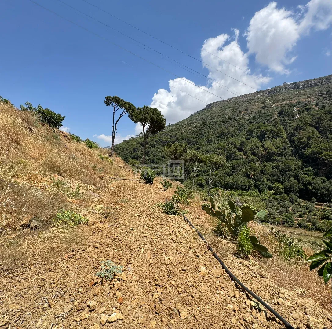 Land For Sale in Maasraiti / Aley — photo 3