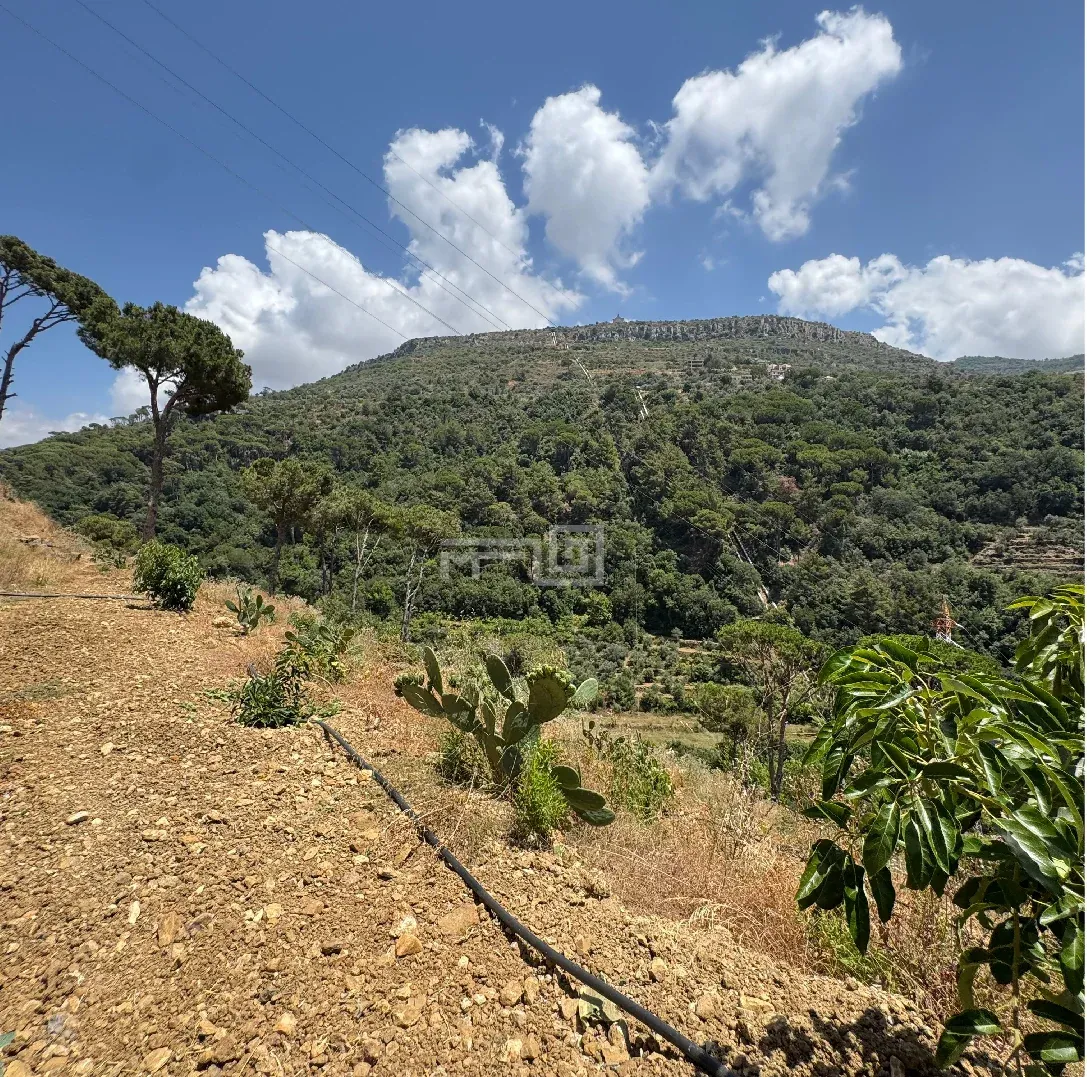 Land For Sale in Maasraiti / Aley — photo 4