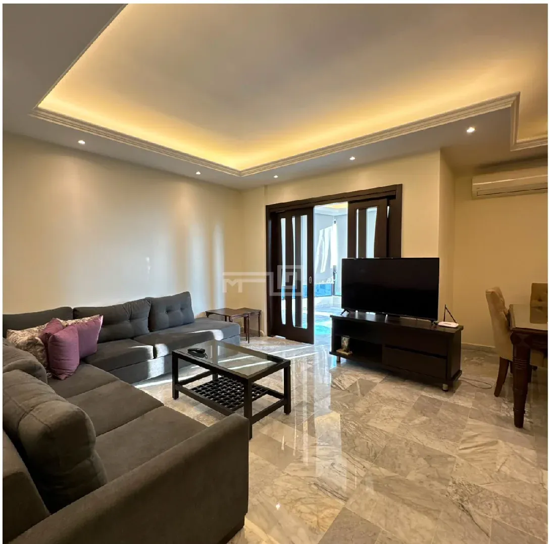 Furnished Apartment For Rent in Adonis — photo 4