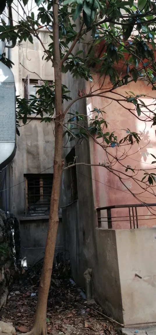 Land for Sale in Achrafieh, Beirut, Lebanon — الصورة 3