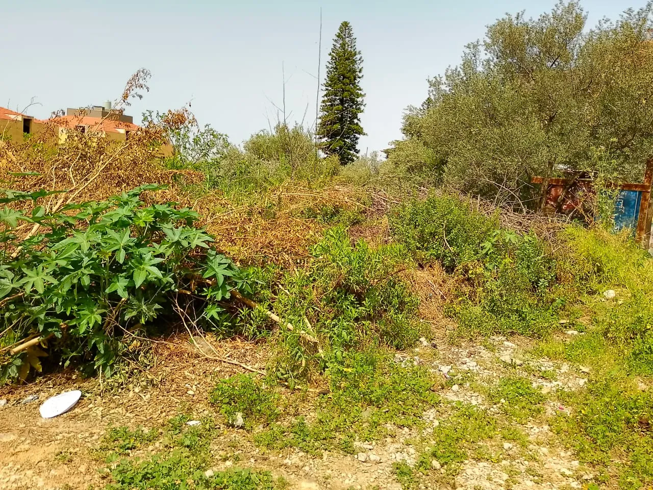 Land for Sale in Mansourieh — photo 4