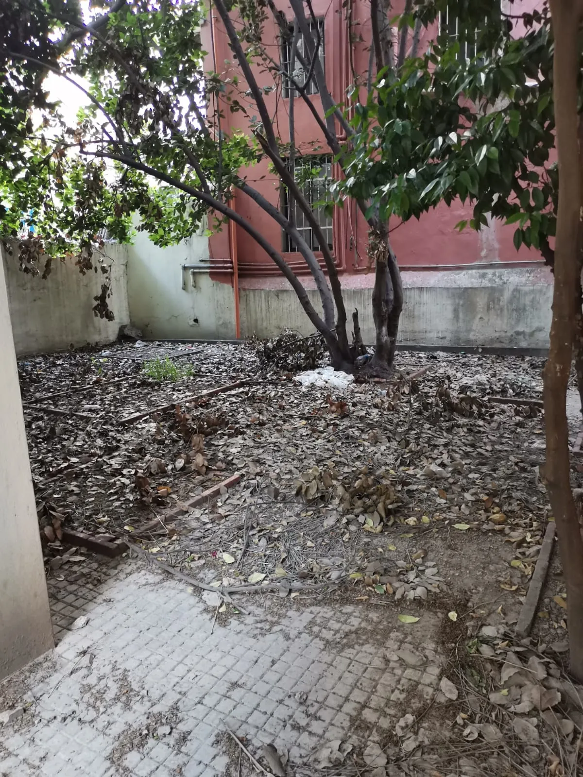 Whole Building for Sale in Achrafieh — photo 2