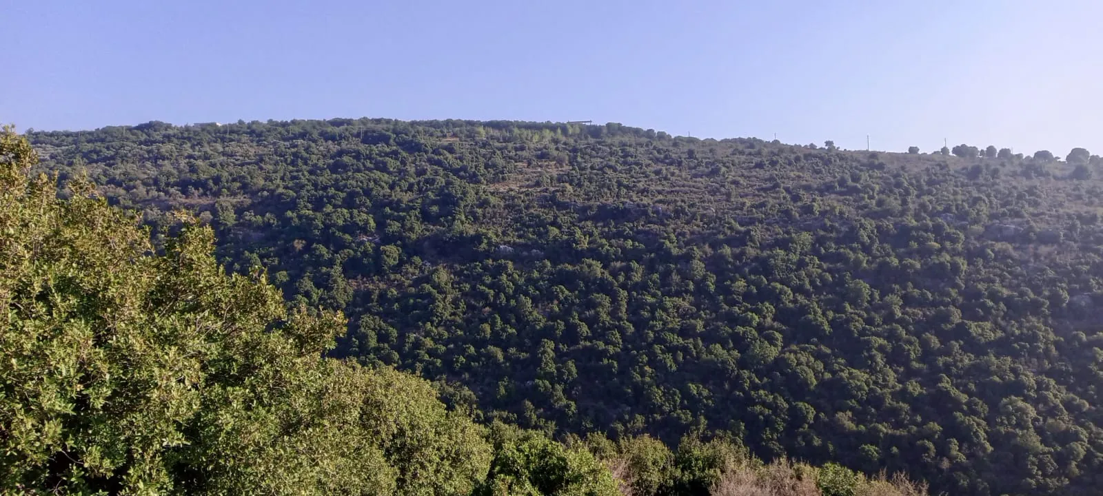 Land for Sale in Batroun — photo 2