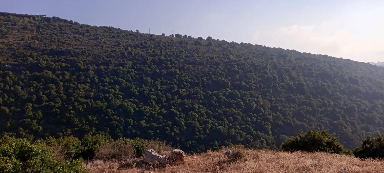 Land for Sale in Batroun — photo 3