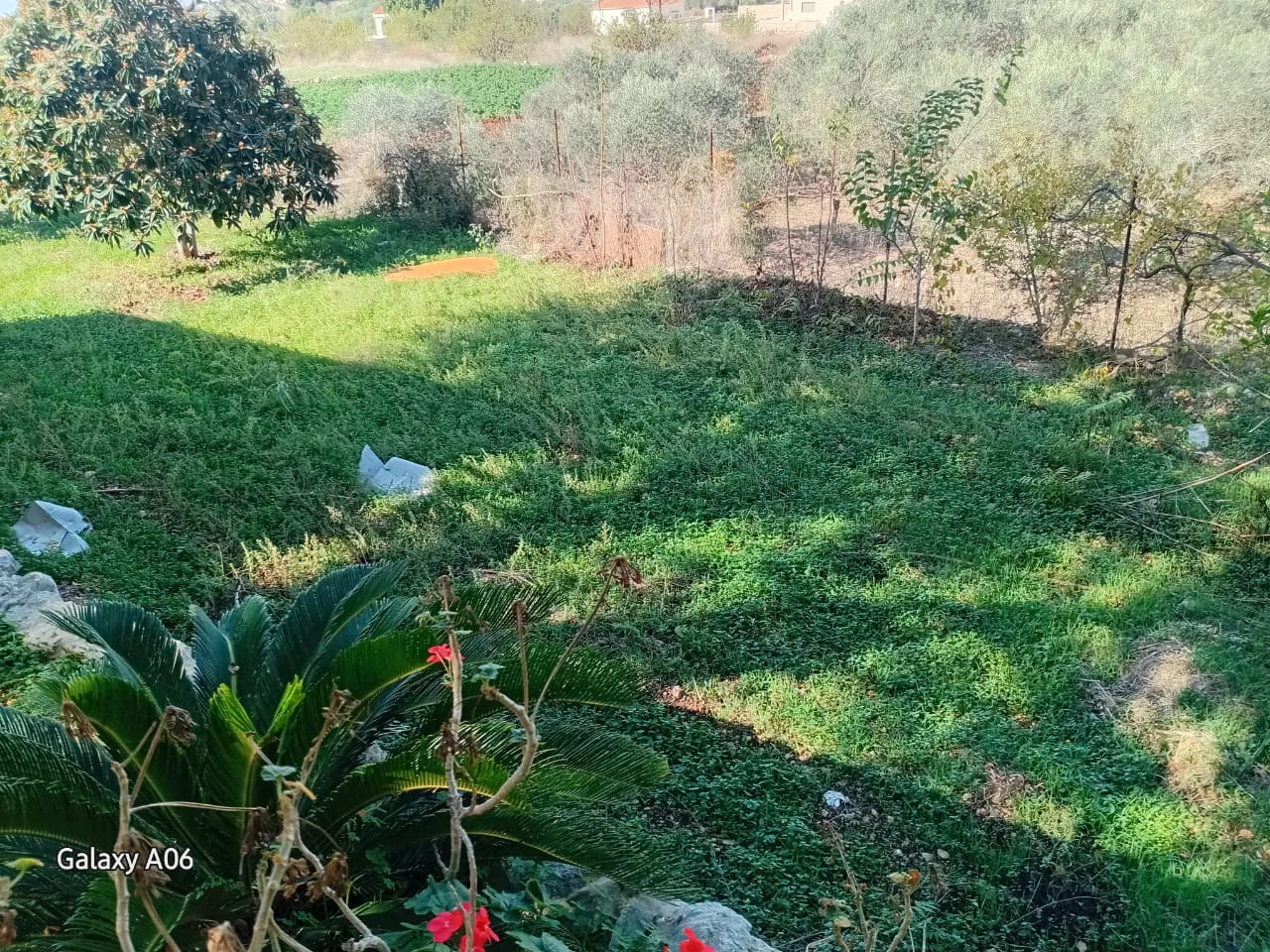 Land for Sale in Batroun — photo 2