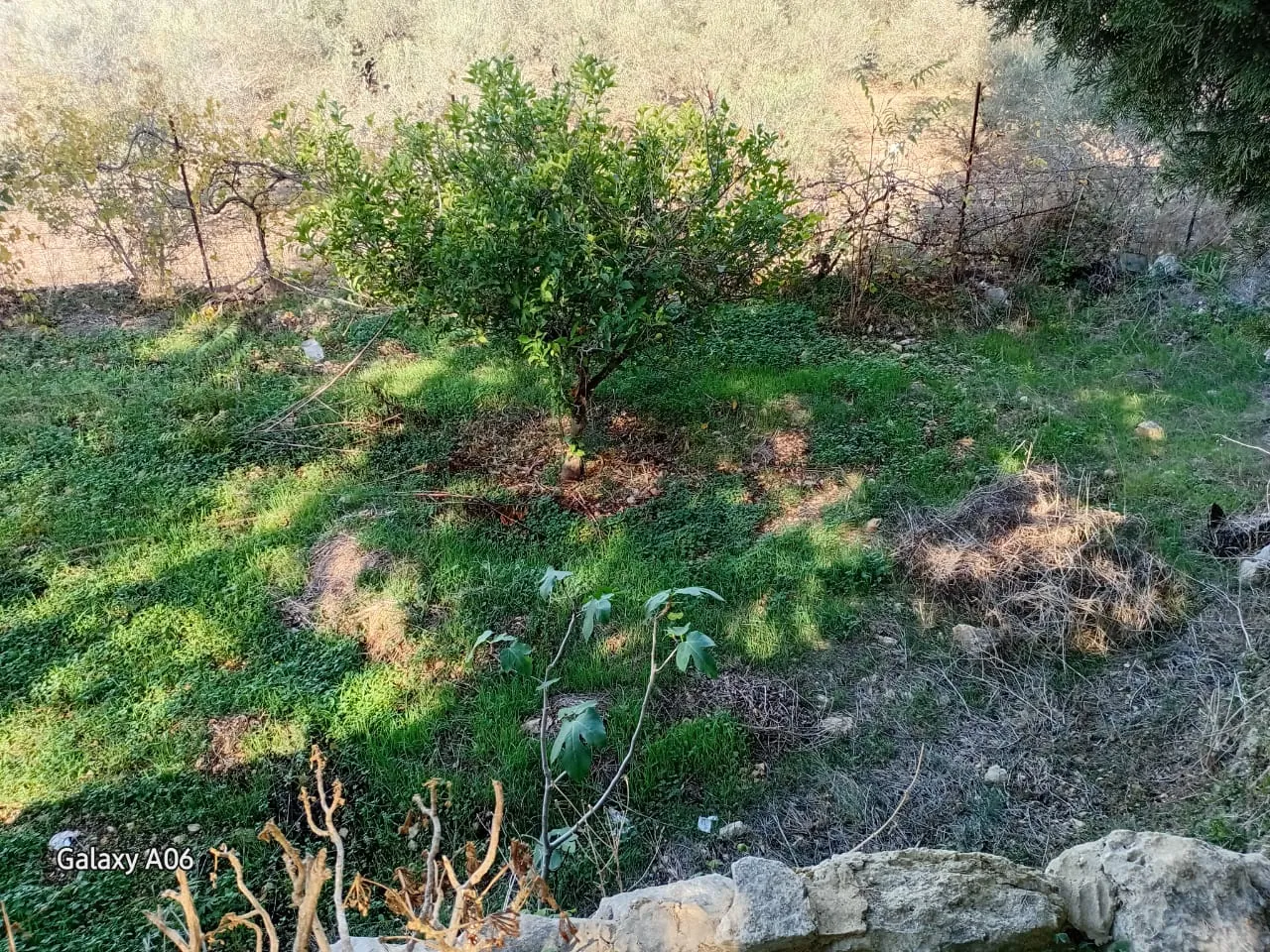 Land for Sale in Batroun — photo 3