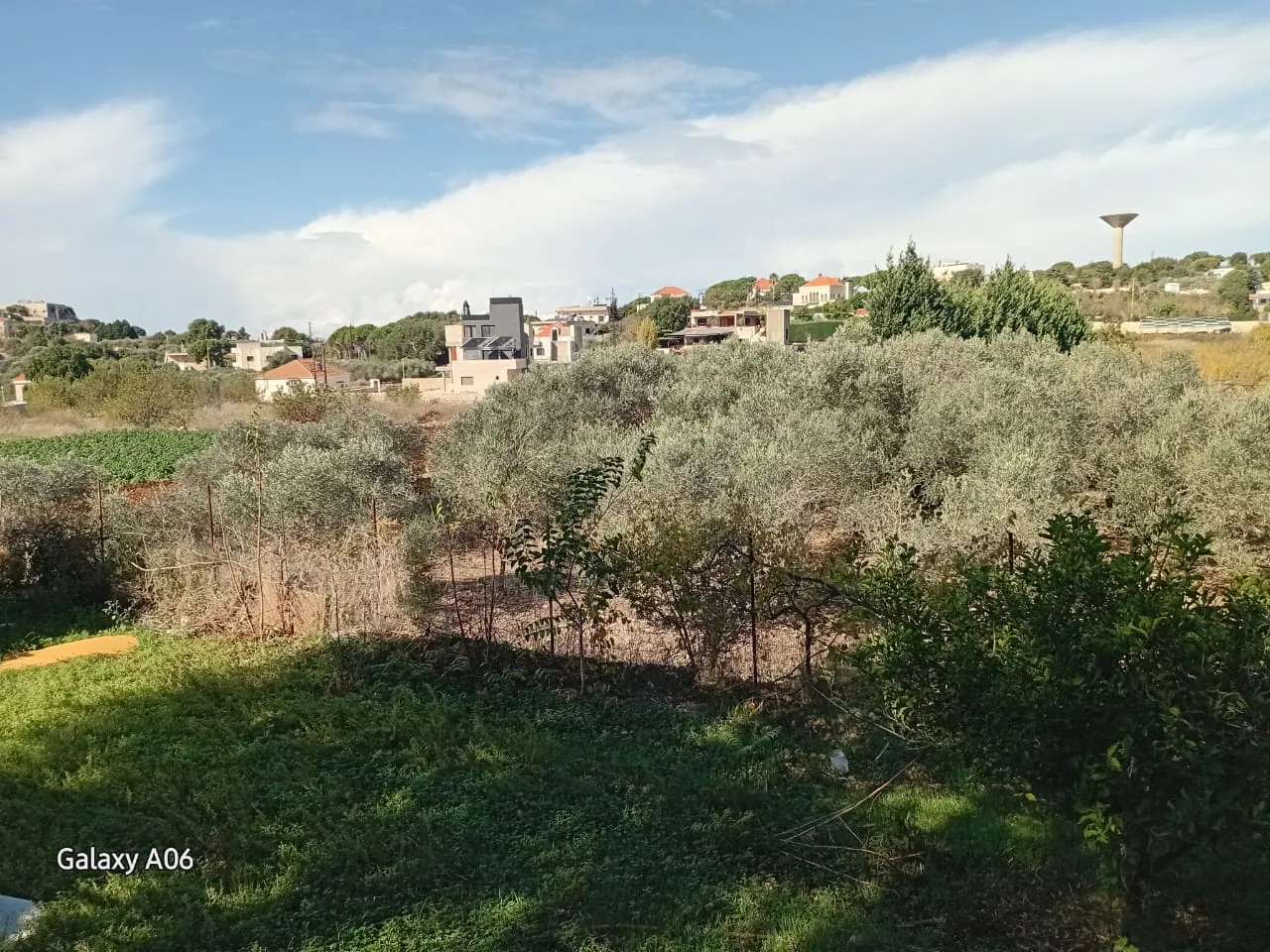 Land for Sale in Batroun — photo 4
