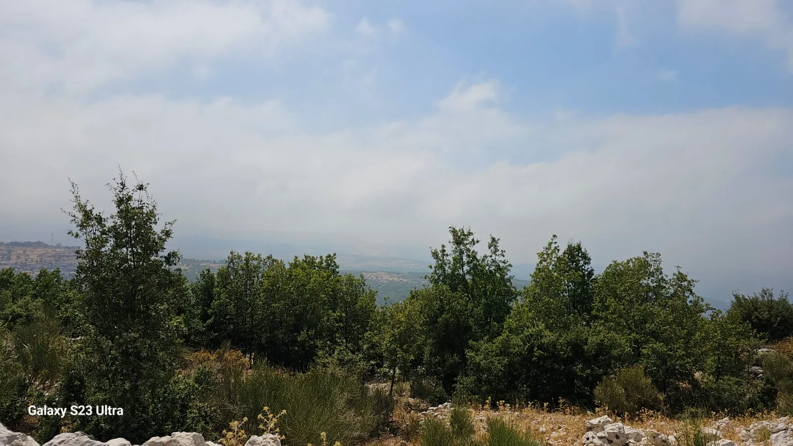 Land for Sale in Tarchich — photo 2