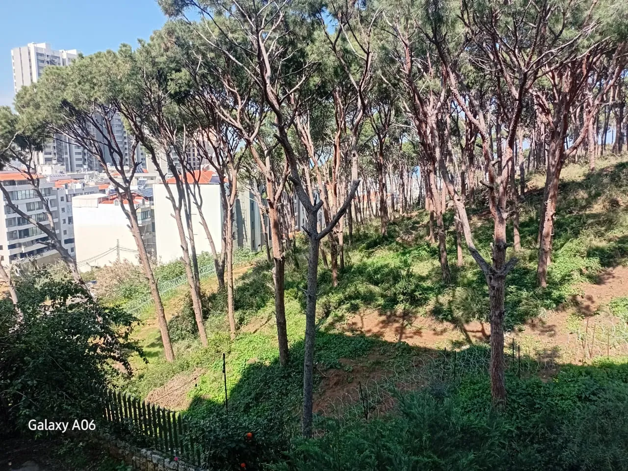 Apartment for Sale in Mar Roukoz — photo 2