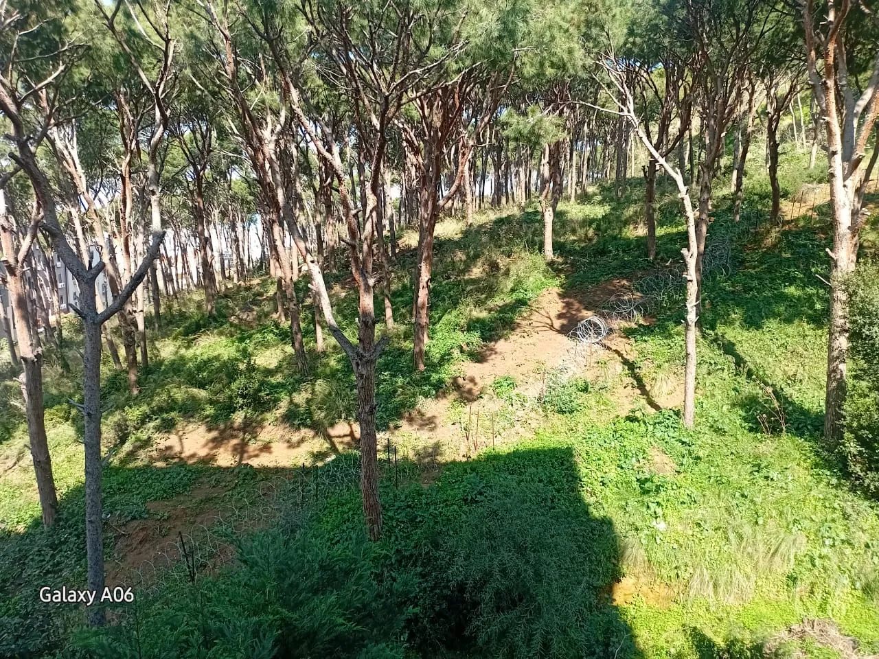 Apartment for Sale in Mar Roukoz — photo 3