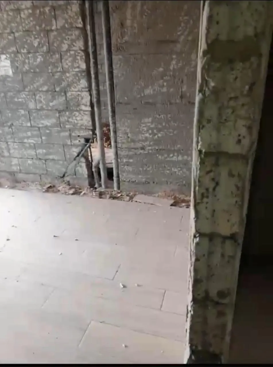 Apartment for Sale in Beirut — photo 2