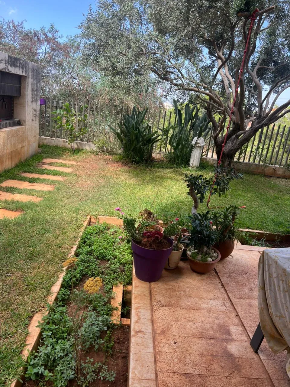 Apartment for Sale in Monteverde — photo 4