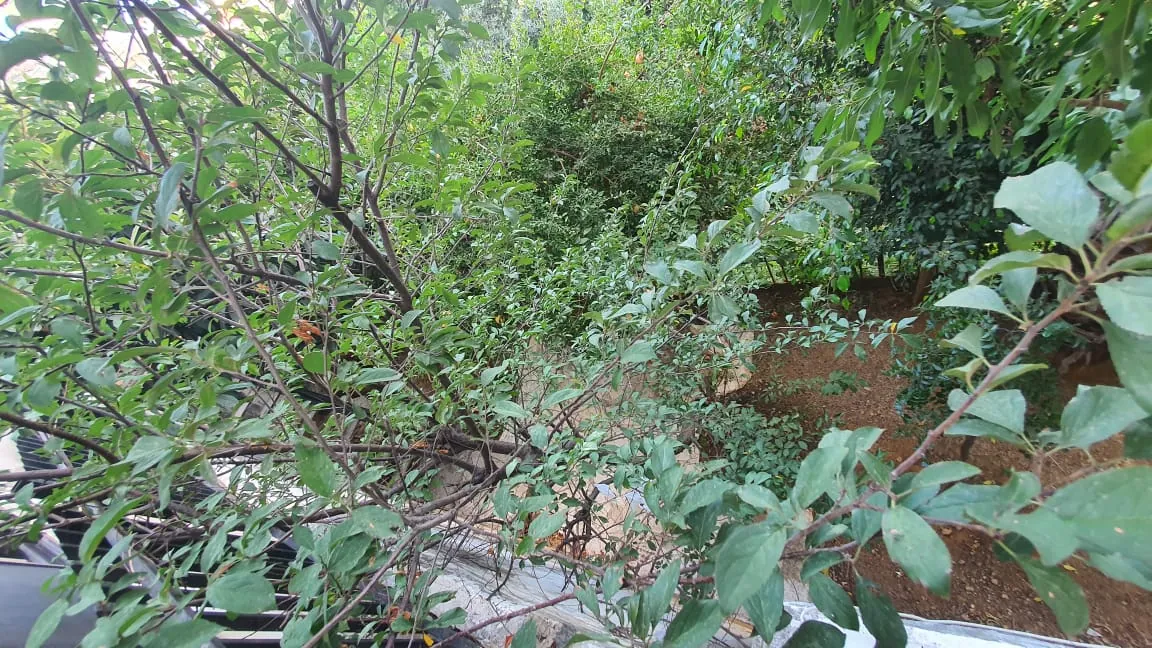 Apartment for Sale in Hazmieh — photo 3