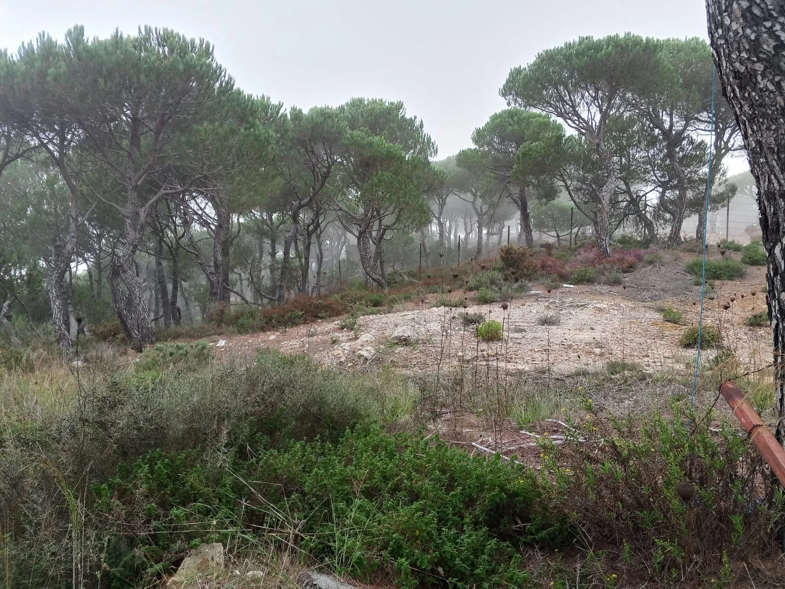 Land for Sale in Bikfaya